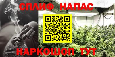 прущие крисы Братск