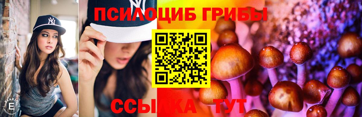 Галлюциногенные грибы прущие грибы  Вход с VPN  Биробиджан  Галлюциногенные грибы MAGIC MUSHROOMS 